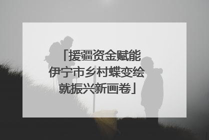 援疆资金赋能 伊宁市乡村蝶变绘就振兴新画卷