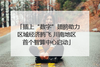 插上“数字”翅膀助力区域经济腾飞 川南地区首个智算中心启动