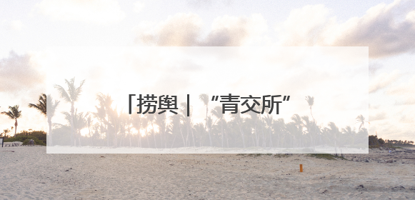 捞舆｜“青交所”走红，流量密码是官方带头“玩起来”