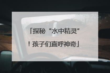 探秘“水中精灵”！孩子们直呼神奇