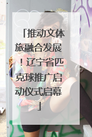 推动文体旅融合发展！辽宁省匹克球推广启动仪式启幕
