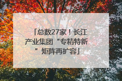 总数27家！长江产业集团“专精特新”矩阵再扩容
