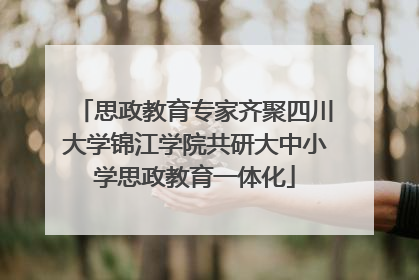 思政教育专家齐聚四川大学锦江学院共研大中小学思政教育一体化