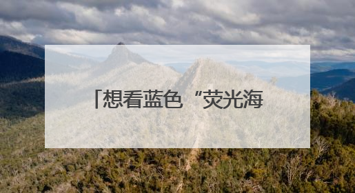 想看蓝色“荧光海”？6月，来瑞安北麂岛“追泪”吧！《90早新闻》来了