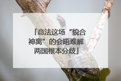 意法这场“貌合神离”的会晤难解两国根本分歧