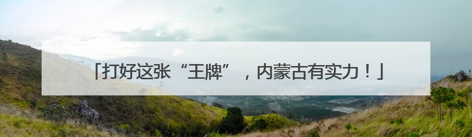 打好这张“王牌”，内蒙古有实力！