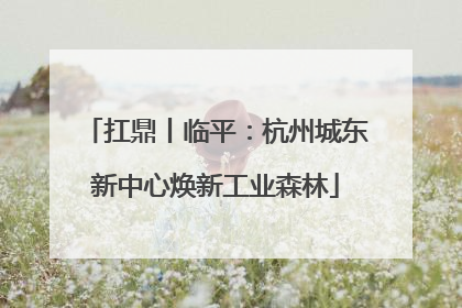 扛鼎丨临平：杭州城东新中心焕新工业森林