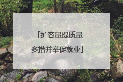 扩容量提质量 多措并举促就业