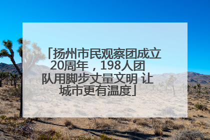 扬州市民观察团成立20周年，198人团队用脚步丈量文明 让城市更有温度