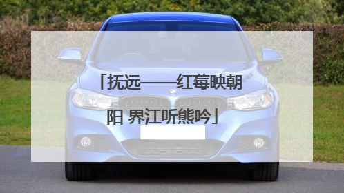 抚远——红莓映朝阳 界江听熊吟