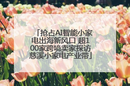 抢占AI智能小家电出海新风口 超100家跨境卖家探访慈溪小家电产业带