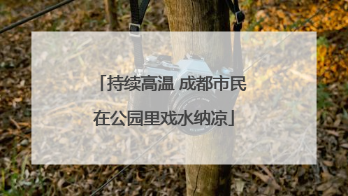 持续高温 成都市民在公园里戏水纳凉