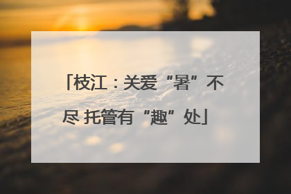 枝江：关爱“暑”不尽 托管有“趣”处