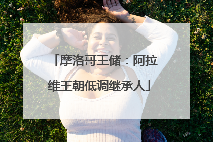 摩洛哥王储：阿拉维王朝低调继承人