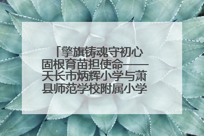 擎旗铸魂守初心 固根育苗担使命——天长市炳辉小学与萧县师范学校附属小学结对共建活动纪实