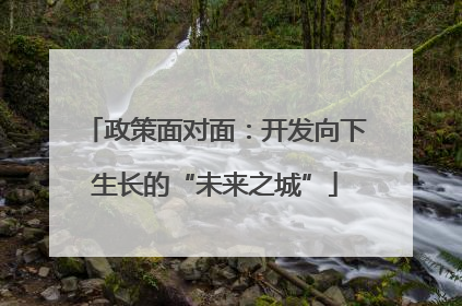 政策面对面：开发向下生长的“未来之城”