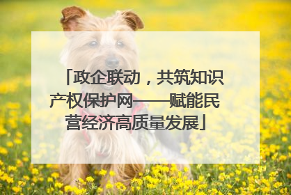政企联动，共筑知识产权保护网——赋能民营经济高质量发展
