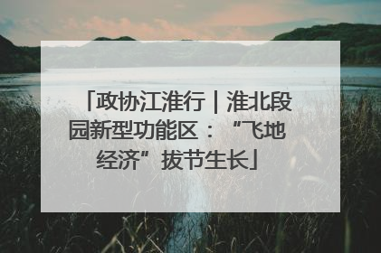 政协江淮行｜淮北段园新型功能区：“飞地经济”拔节生长