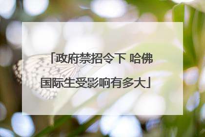 政府禁招令下 哈佛国际生受影响有多大