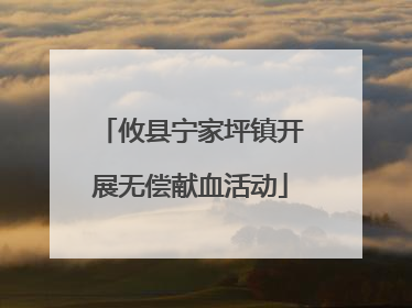 攸县宁家坪镇开展无偿献血活动