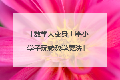 数学大变身！墨小学子玩转数学魔法