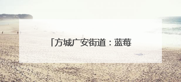 方城广安街道：蓝莓结出 “致富果” 绘就乡村振兴新图景