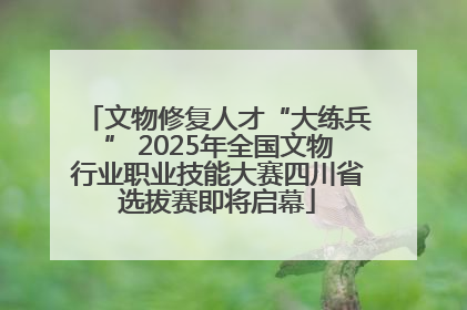 文物修复人才“大练兵” 2025年全国文物行业职业技能大赛四川省选拔赛即将启幕
