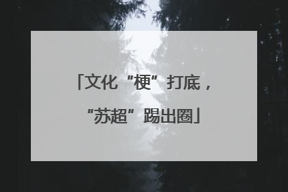 文化“梗”打底，“苏超”踢出圈