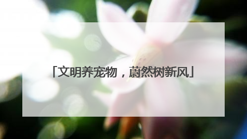文明养宠物,蔚然树新风
