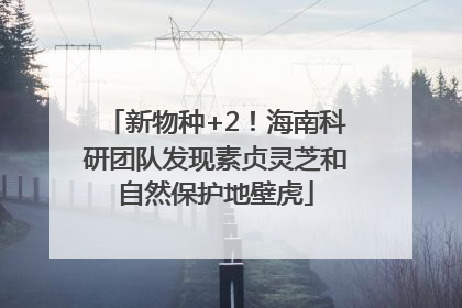 新物种+2！海南科研团队发现素贞灵芝和自然保护地壁虎