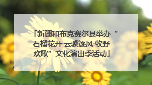 新疆和布克赛尔县举办“石榴花开·云骥逐风·牧野欢歌”文化演出季活动