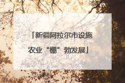 新疆阿拉尔市设施农业“棚”勃发展