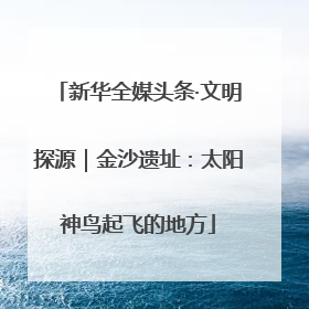 新华全媒头条·文明探源｜金沙遗址：太阳神鸟起飞的地方
