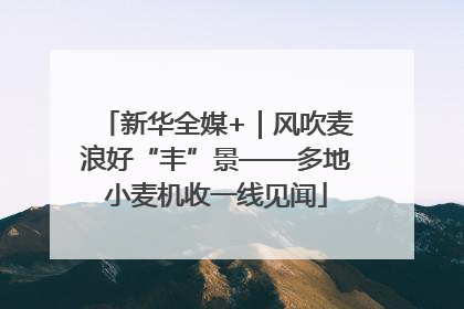 新华全媒+｜风吹麦浪好“丰”景——多地小麦机收一线见闻