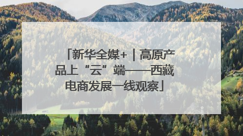 新华全媒+｜高原产品上“云”端——西藏电商发展一线观察