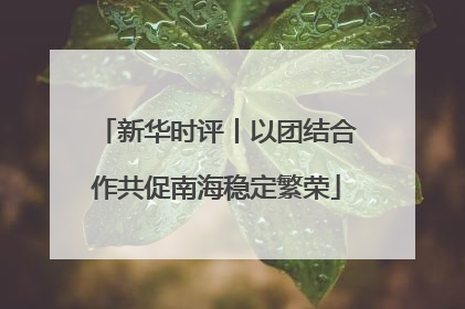 新华时评丨以团结合作共促南海稳定繁荣