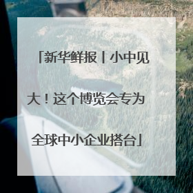 新华鲜报丨小中见大！这个博览会专为全球中小企业搭台
