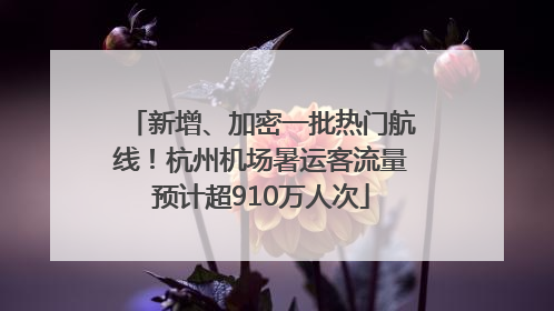 新增、加密一批热门航线！杭州机场暑运客流量预计超910万人次