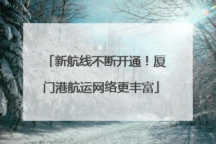 新航线不断开通！厦门港航运网络更丰富