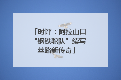 时评：阿拉山口“钢铁驼队”续写丝路新传奇