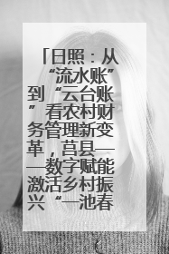 日照：从“流水账”到“云台账”看农村财务管理新变革，莒县——数字赋能激活乡村振兴“一池春水”