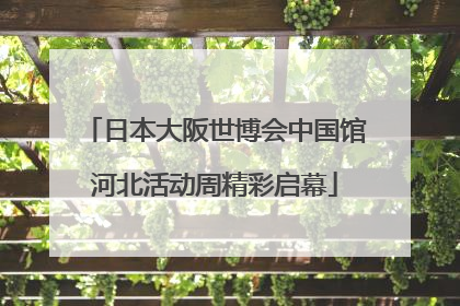 日本大阪世博会中国馆河北活动周精彩启幕