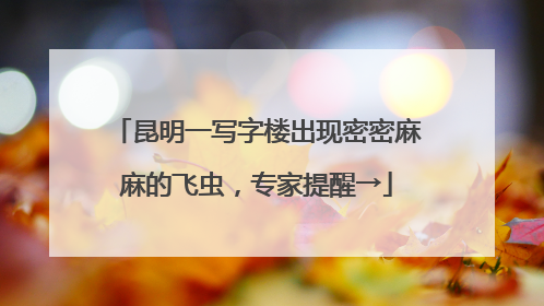 昆明一写字楼出现密密麻麻的飞虫，专家提醒→
