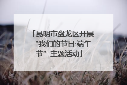 昆明市盘龙区开展“我们的节日·端午节”主题活动
