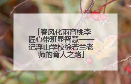 春风化雨育桃李 匠心带班显智慧——记浮山学校徐若兰老师的育人之路