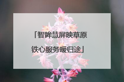 智眸慧屏映草原 铁心服务暖归途
