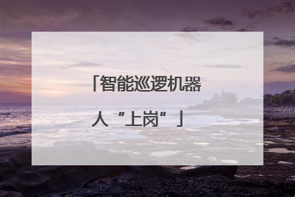 智能巡逻机器人“上岗”