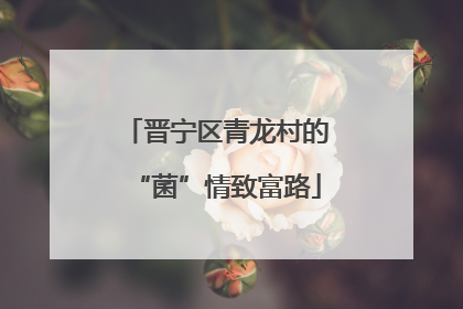 晋宁区青龙村的“菌”情致富路