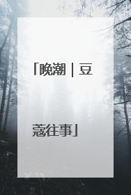 晚潮｜豆蔻往事
