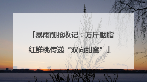 暴雨前抢收记：万斤胭脂红鲜桃传递“双向甜蜜”